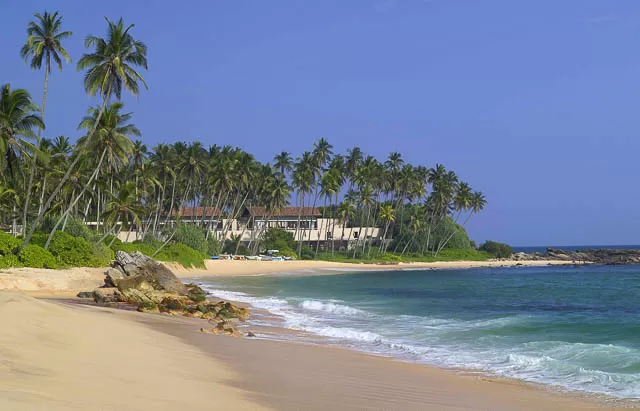 palm trees on beach near 5-star hotel amanwella in godellawela, sri lanka