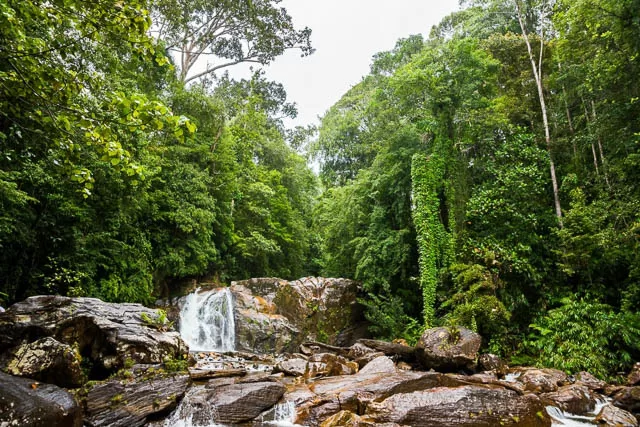 waterfall amidst the jungles of sinharaja rainforest, sri lanka