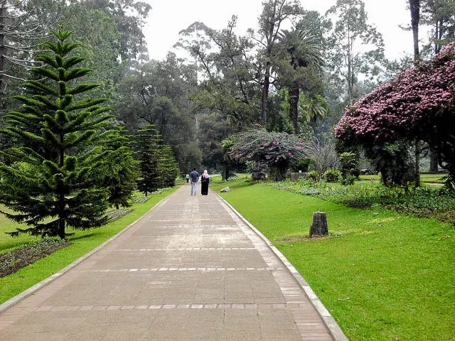 path inside victoria park in nuwara eliya, sri lanka