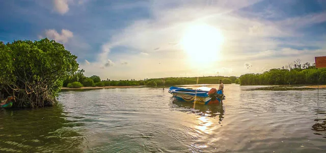 boat ride on negombo lagoon, sri lanka