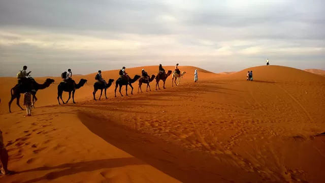 camel safari in jaisalmer sands, rajasthan