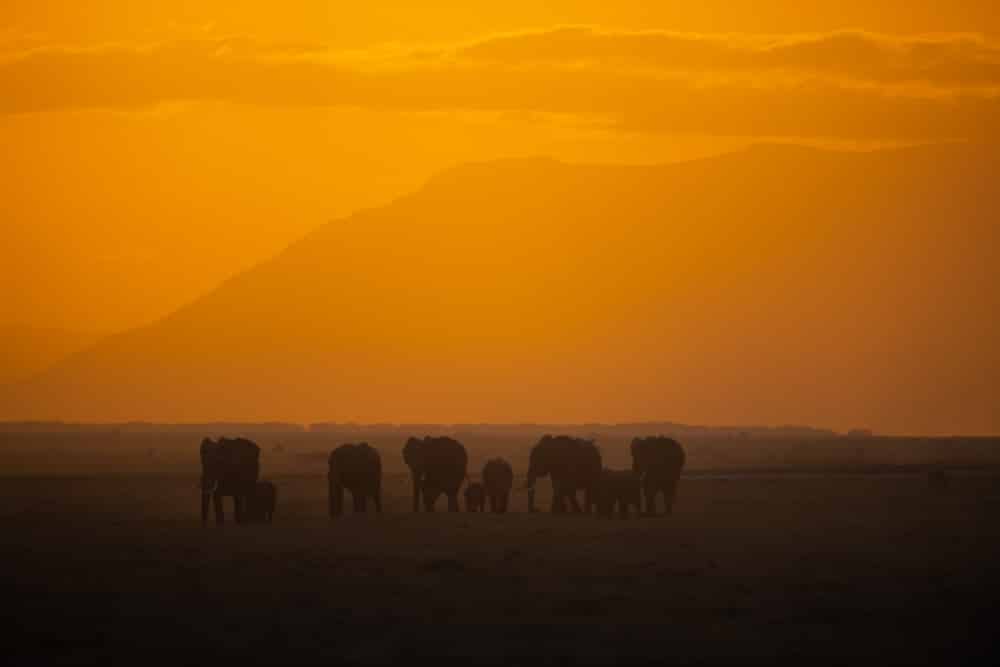 Amboseli National Park