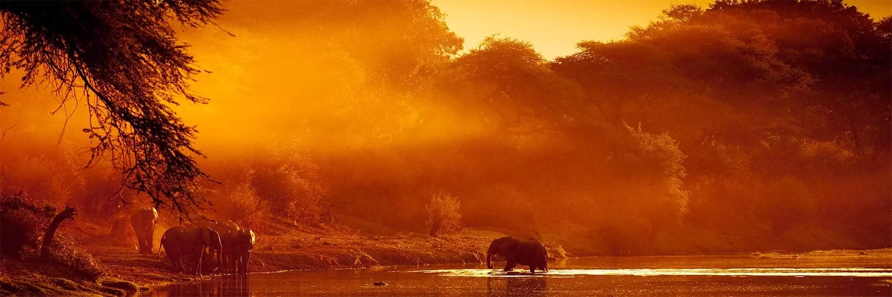 Zambezi national park