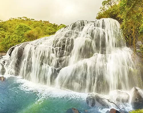 Horton Plains National Park tour