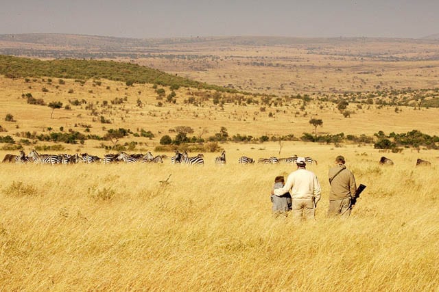 Walking Safari in Masai Mara