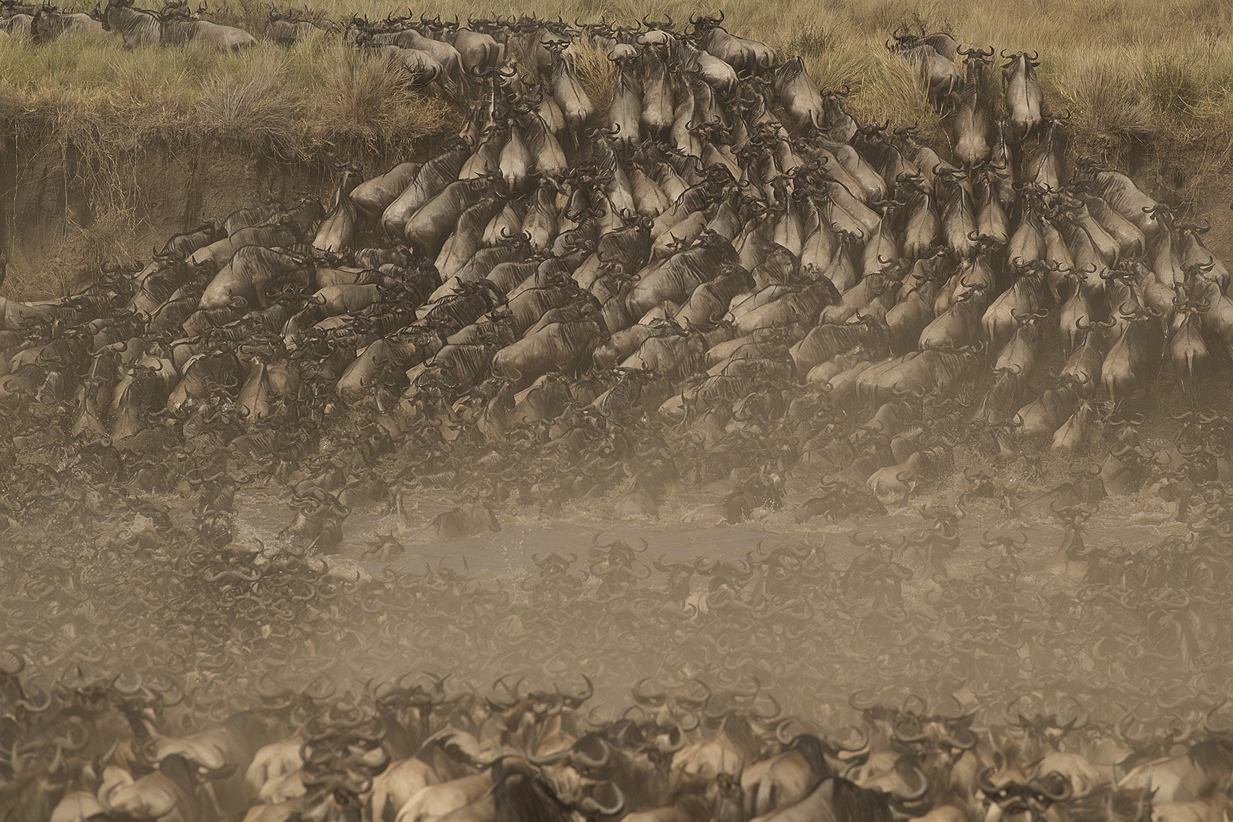 A mesmerizing scene of the Masai Mara migration—a must-see on any African safari travel itinerary.