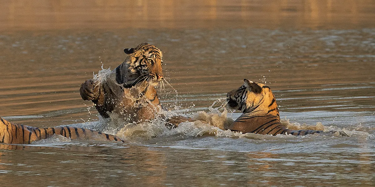 Zones of Bandhavgarh National Park