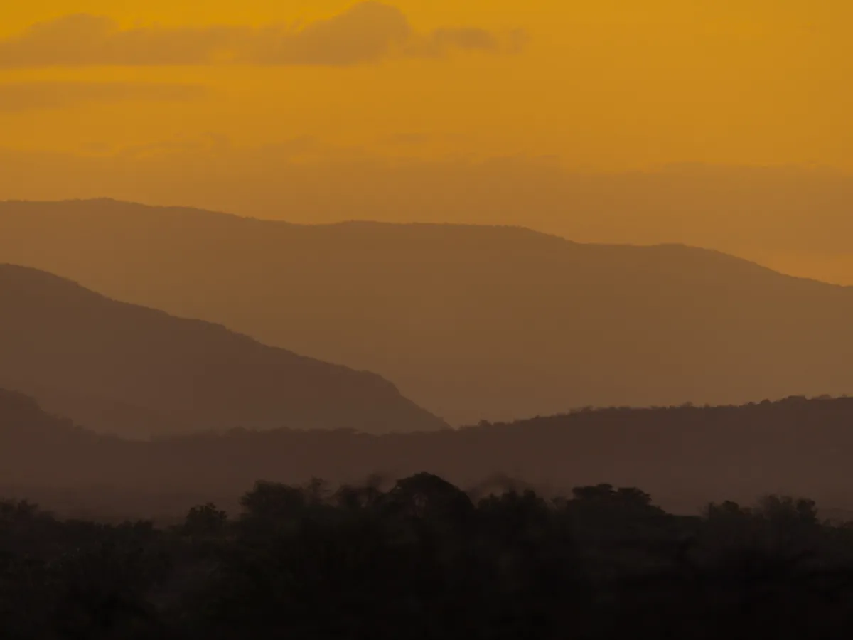 Top 10 things to do on an East African safari