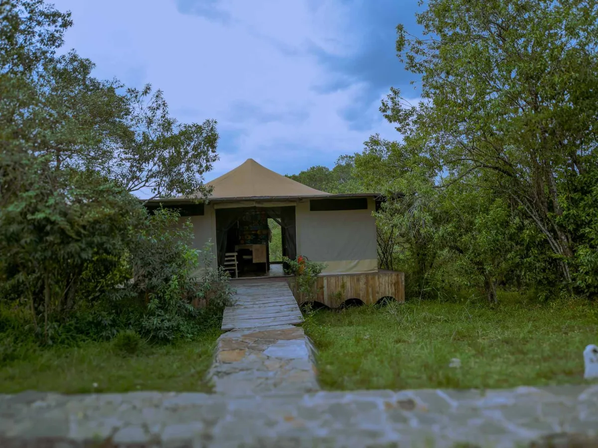 Why a Masai Mara Safari is perfect for Honeymooners