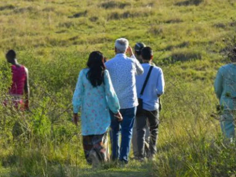 How Eco-Tourism Supports Wildlife Conservation in Africa