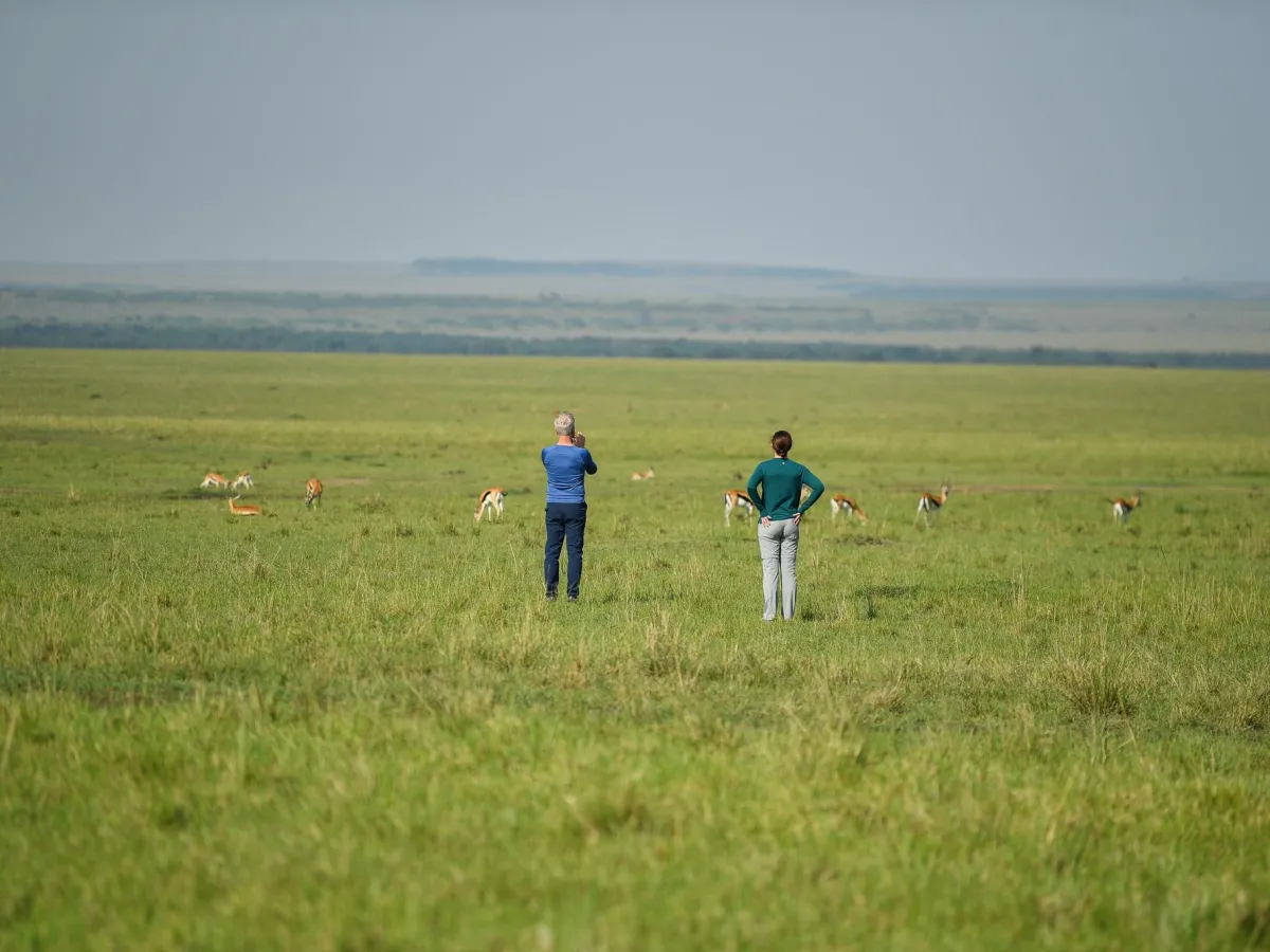How Eco-Tourism Supports Wildlife Conservation in Africa