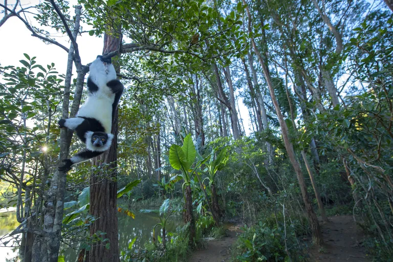Madagascar