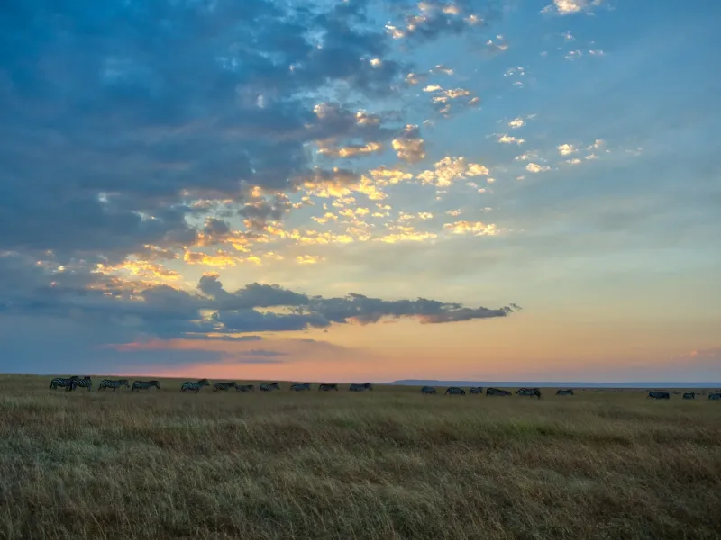 A Maasai morning