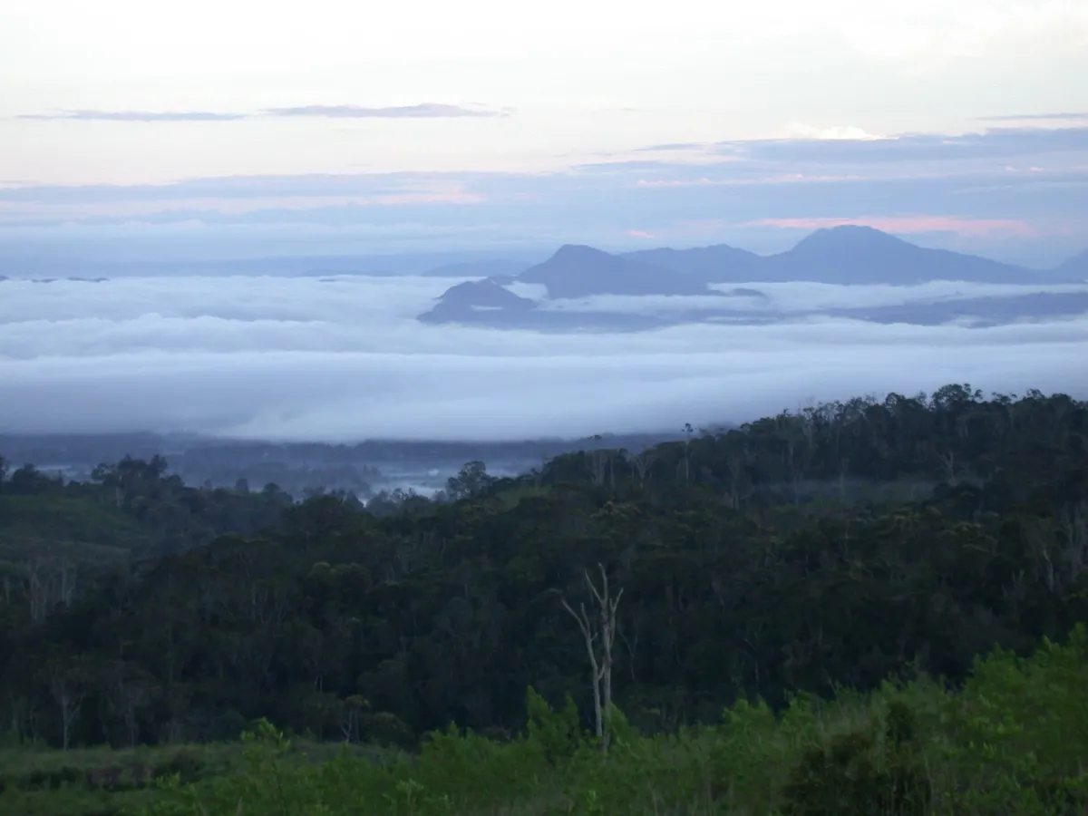 Ambua Valley — high cloud forest.