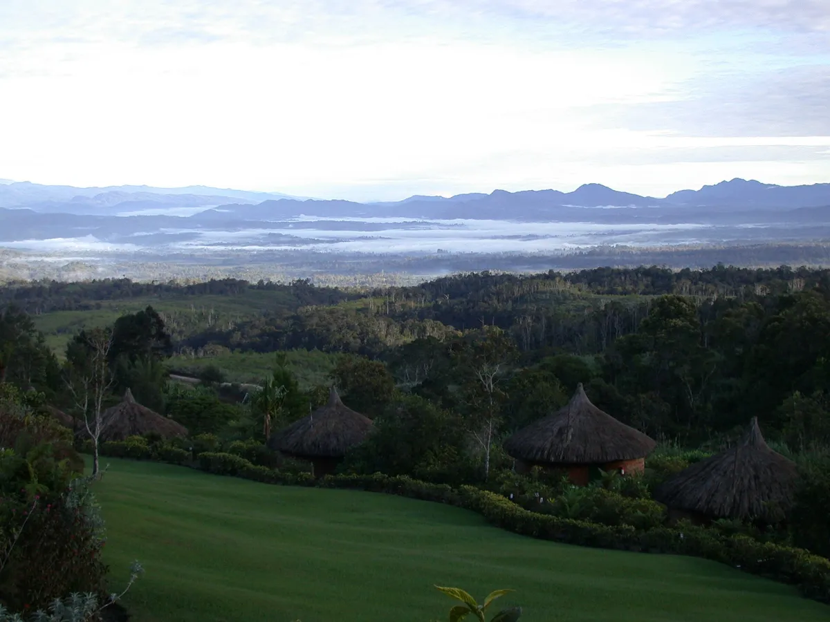 Mossy high cloud forest on the Tari Gap at Ambua.