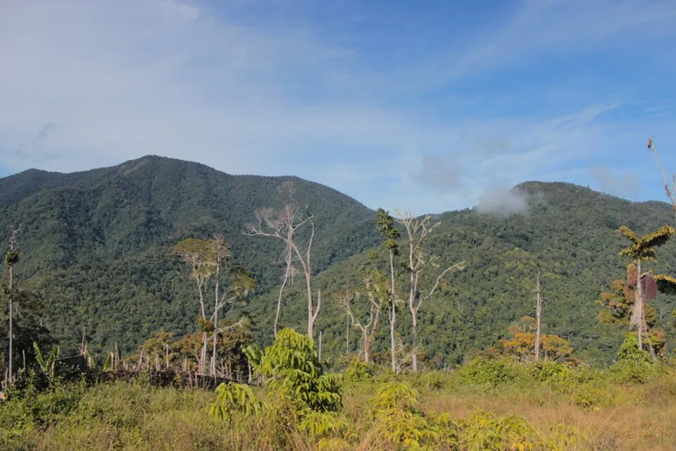 Indonesia Bird Photography Expedition