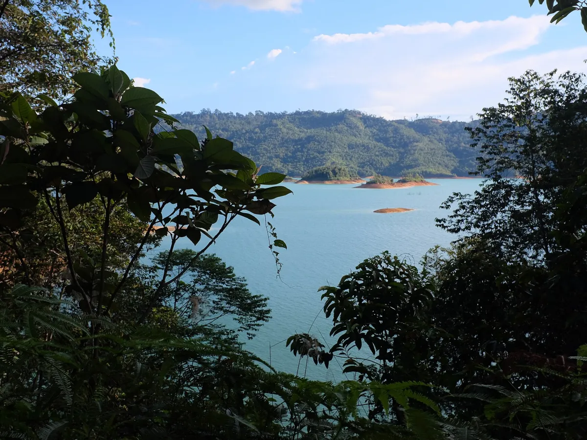 Rainforest and reservoir at Batang Ai.