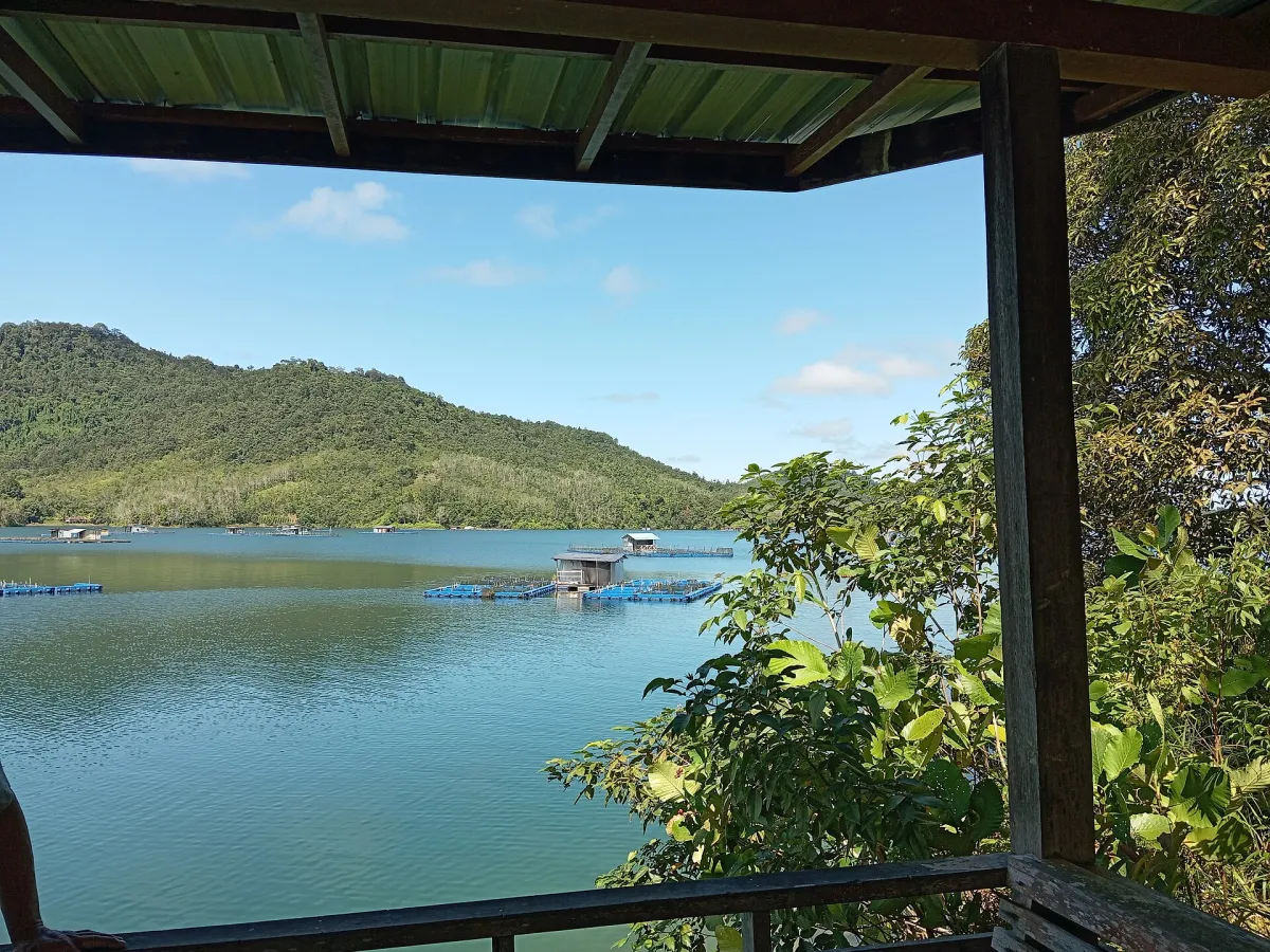 Batang Ai National Park — orangutan & iban country.