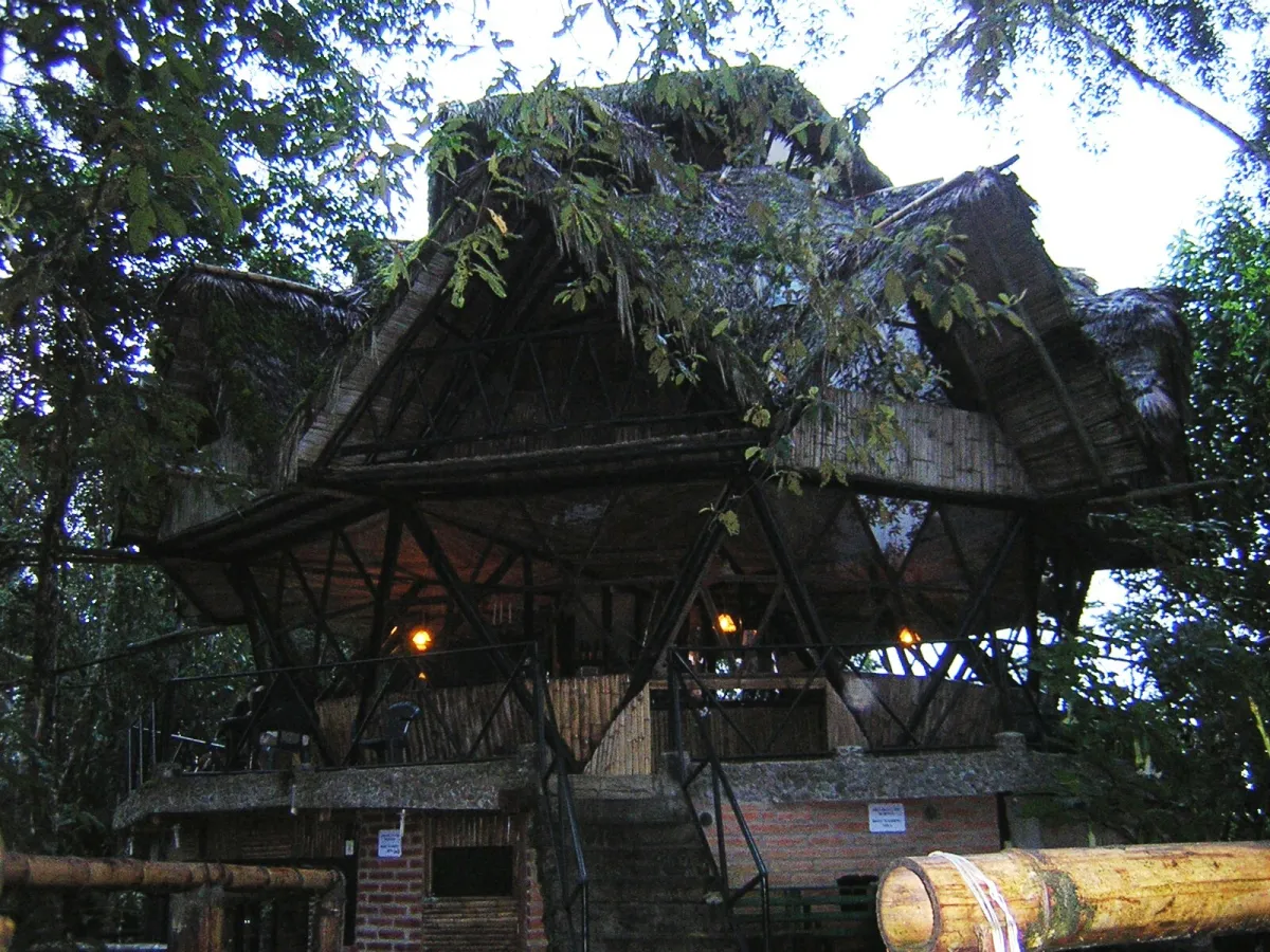 Bellavista Cloud Forest Reserve — high cloud forest.