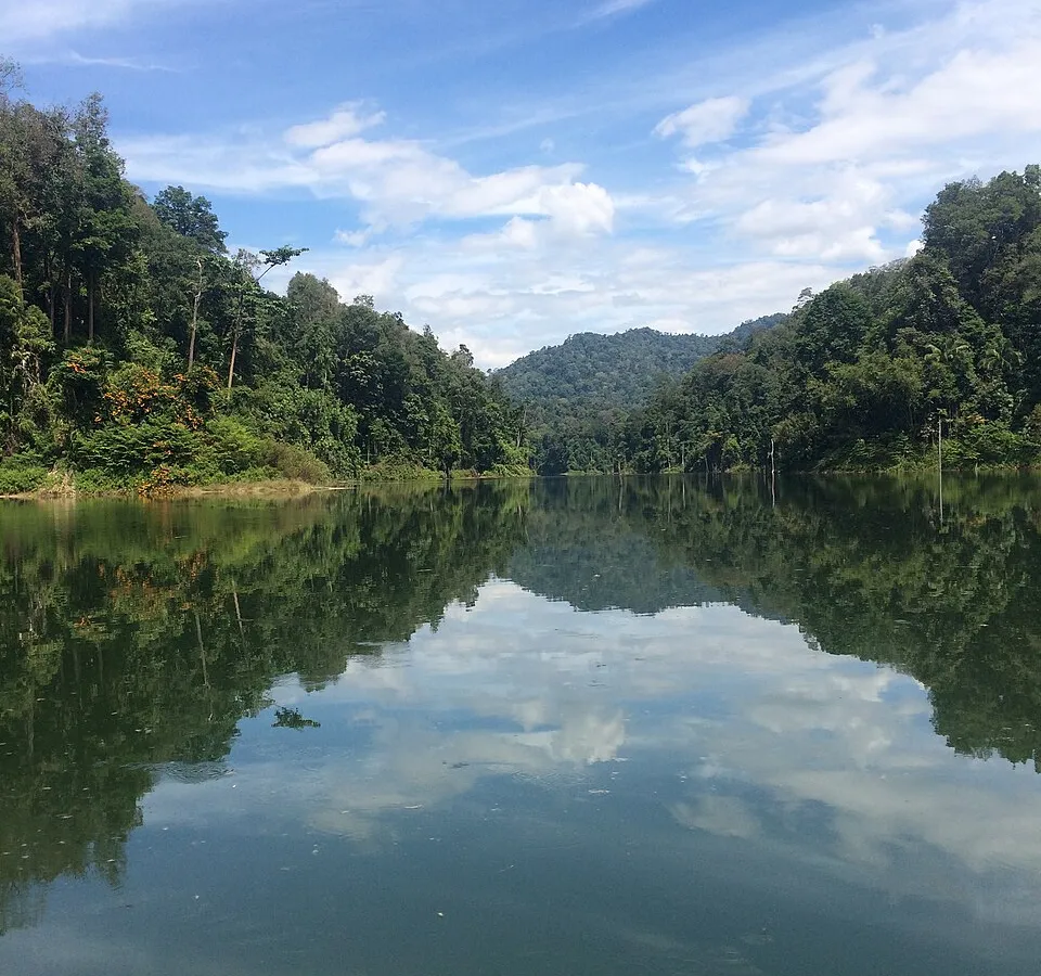 Belum-Temengor Rainforest — peninsular rainforest.