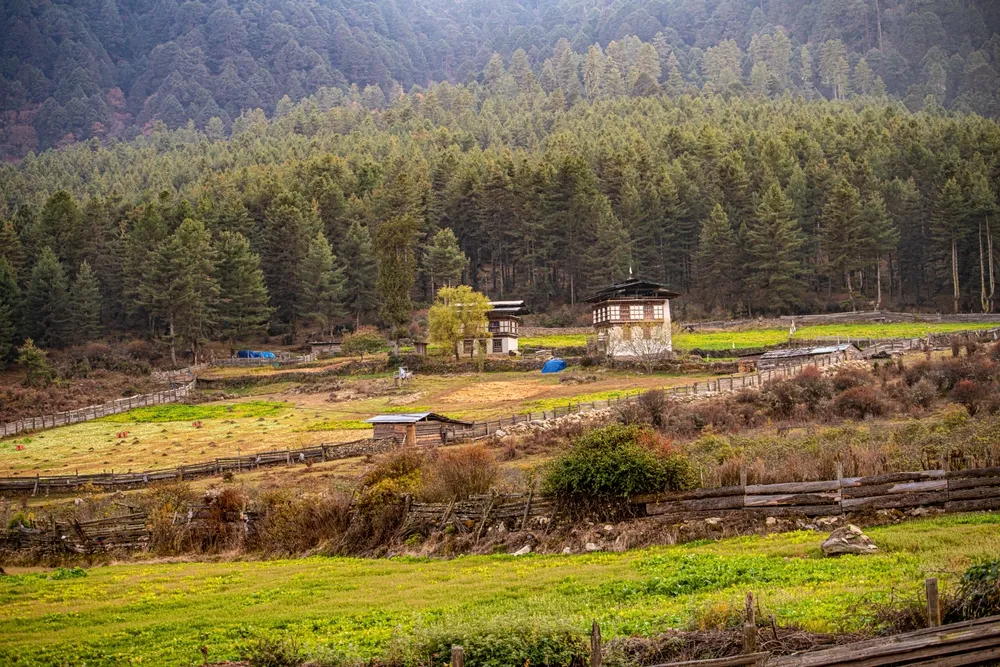 Phobjikha Valley — glacial valley & cranes.