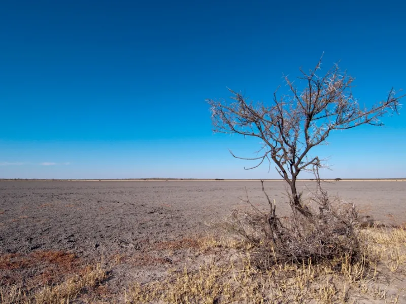 Desert solitude