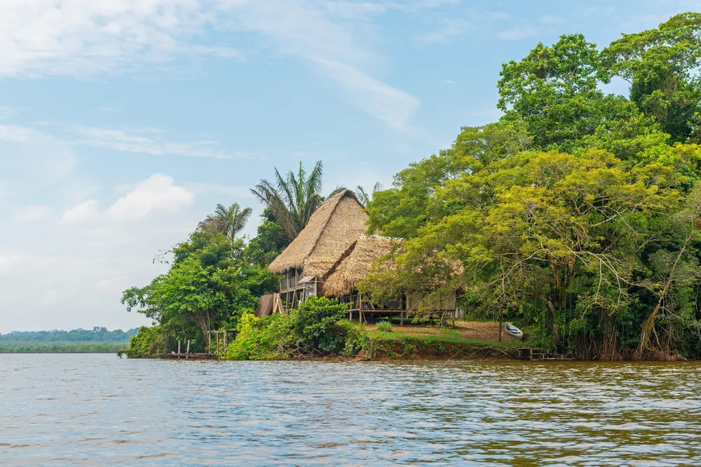 Cuyabeno Wildlife Reserve — flooded amazon.