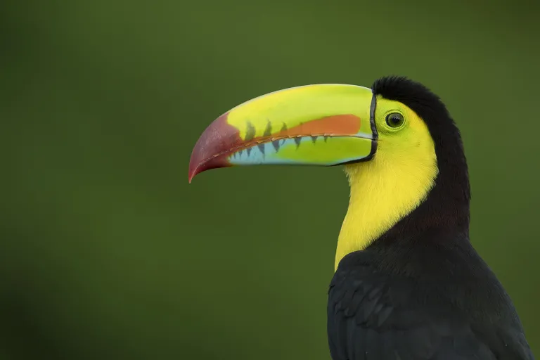 costa-rica
