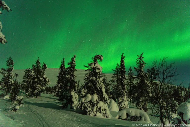 Sweden