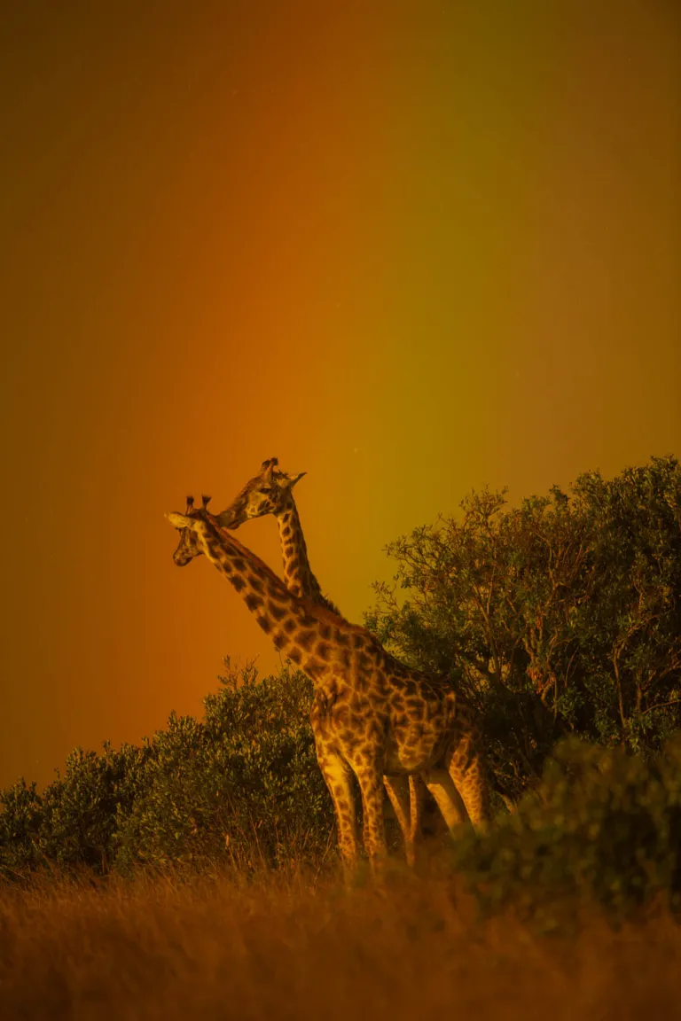 Kenya