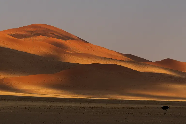namibia