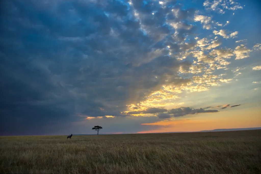 Elementaita Mara Diani