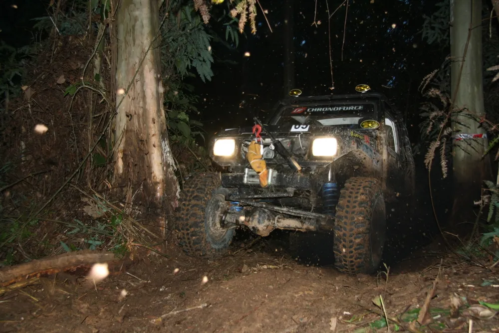Deramakot Forest Reserve — night-drive forest.