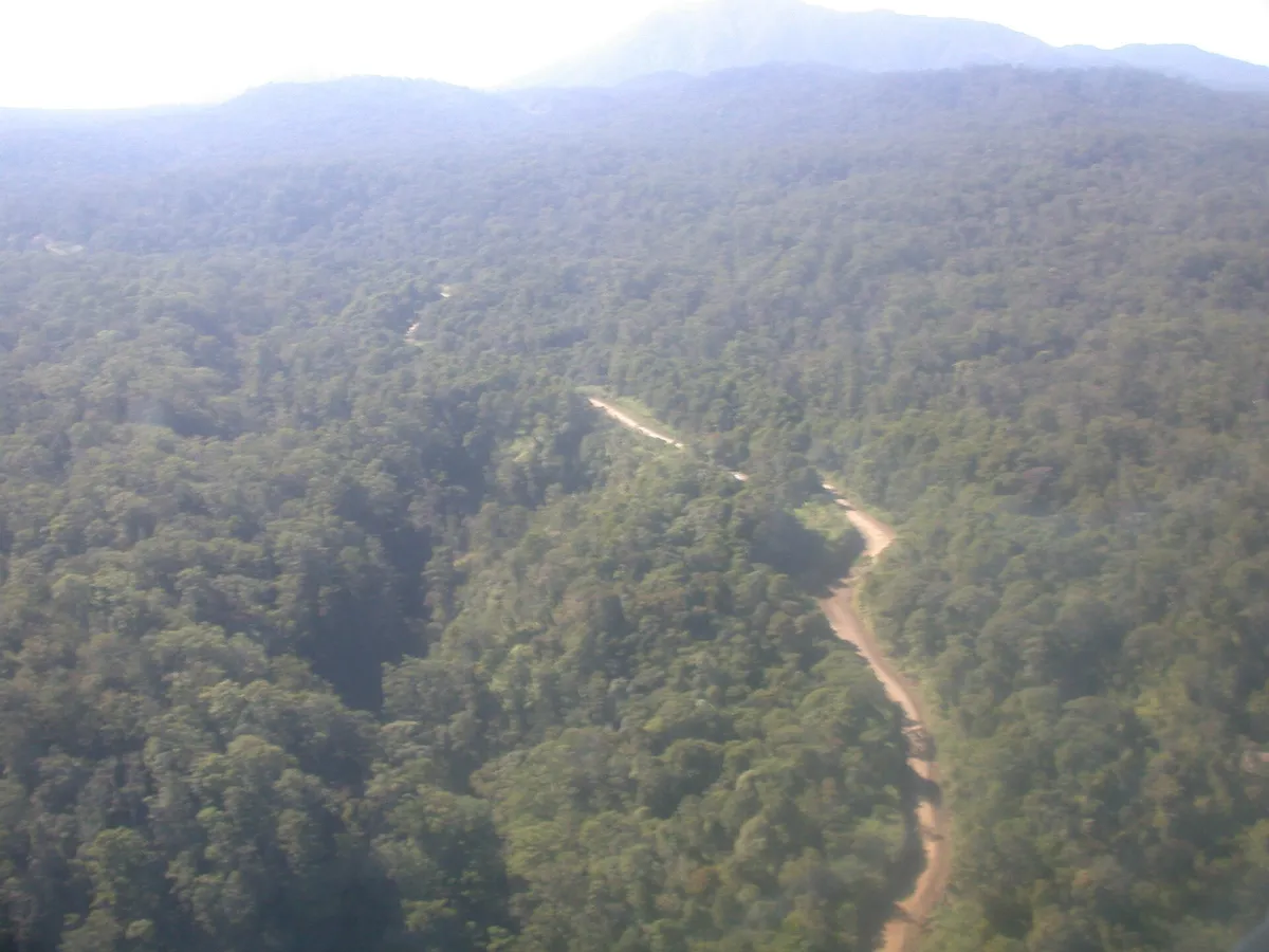 Tari Gap