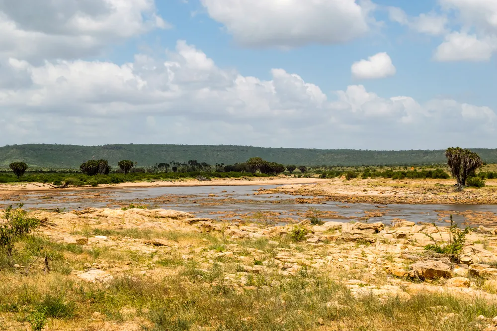 Tsavo Malindi Explorer