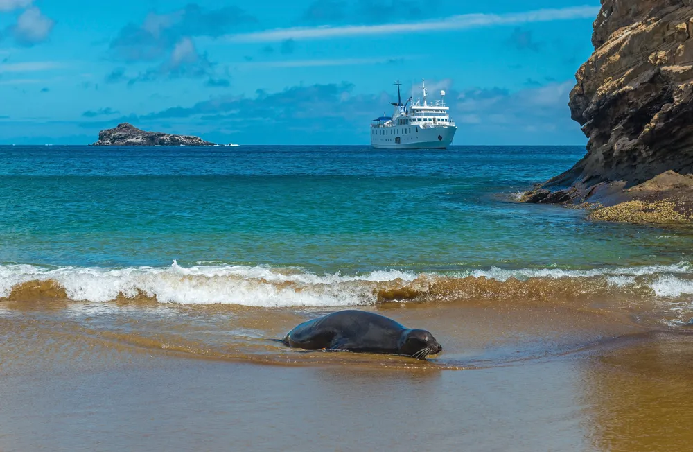 Daily snorkelling
