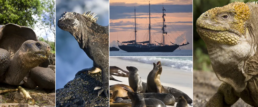 Galápagos Expedition Cruise — expedition cruise.