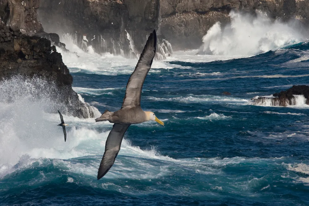 An expedition ship among the Galápagos islands.