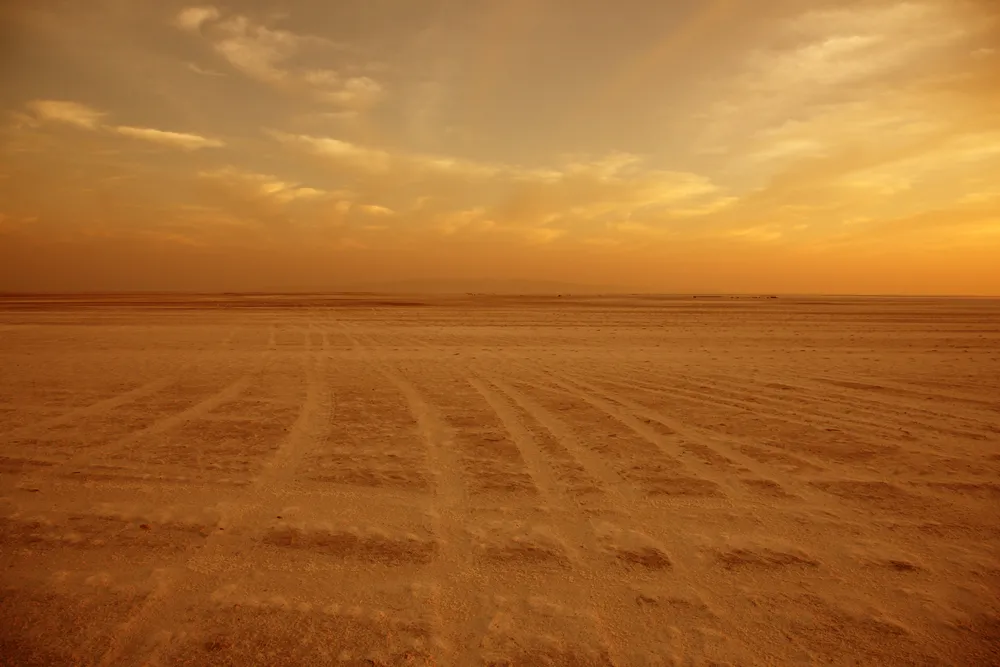 The Banni grassland meeting the white salt of the Rann.