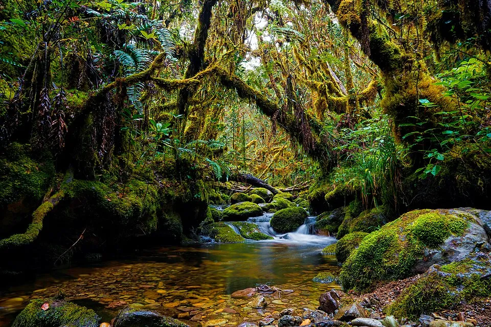 ultimate-sumatra-wildlife