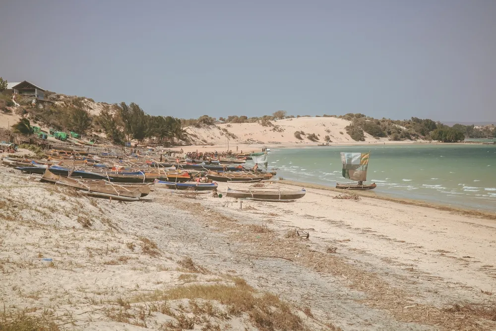 Ifaty — coast & spiny forest.