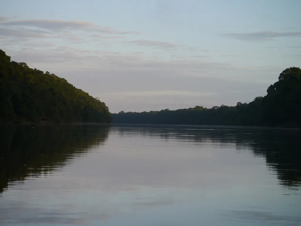 Guyana Wildlife Highlights