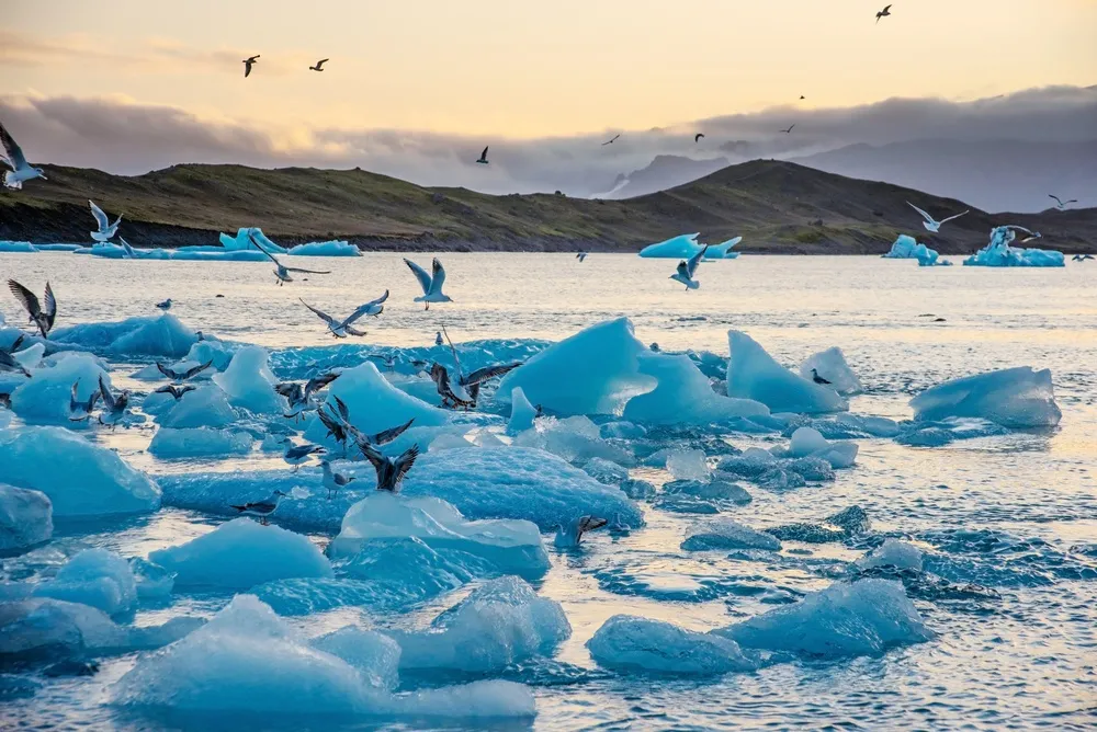 Blue icebergs drifting on the Jökulsárlón lagoon.