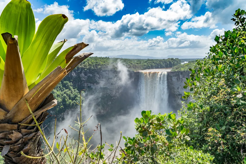 The falls