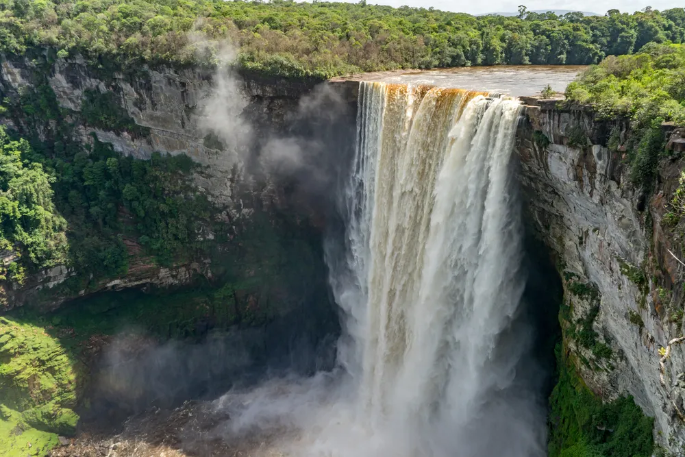 Ultimate Guyana Wildlife