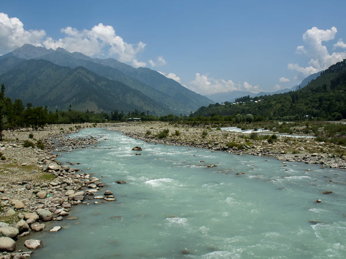 Dachigam's forest and meadows