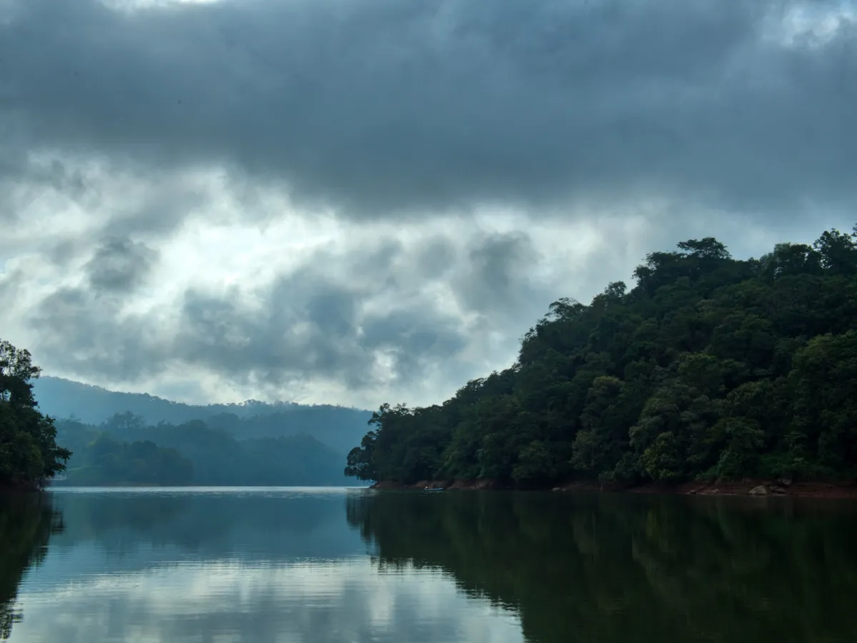 Eravikulam tahr
