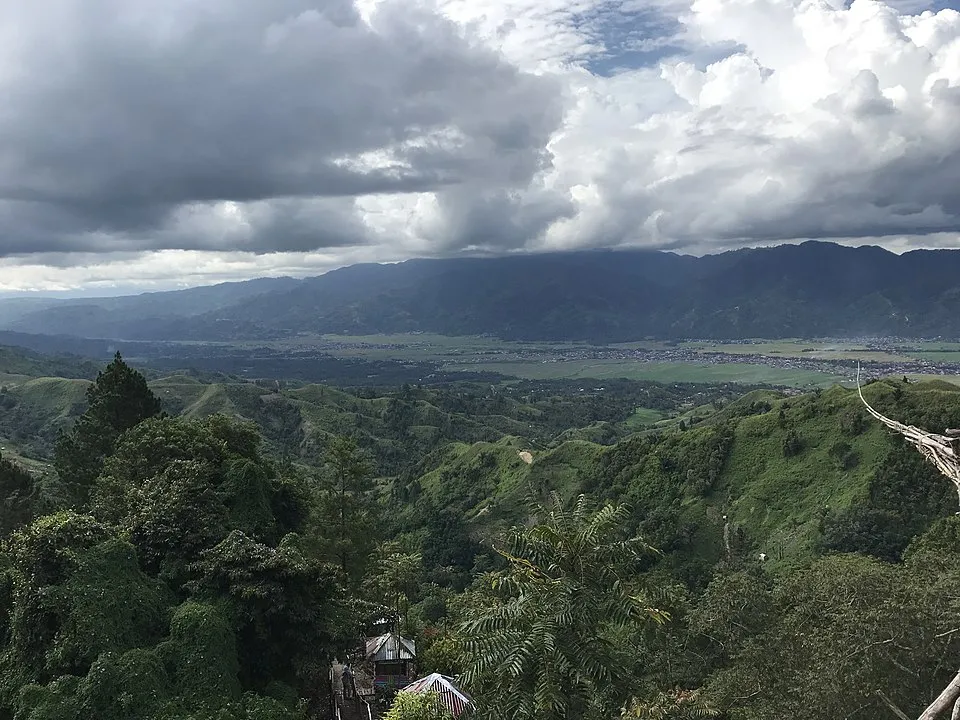 Montane endemics