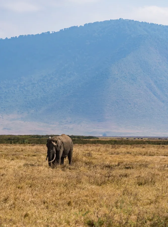 Wilderness and Karamoja