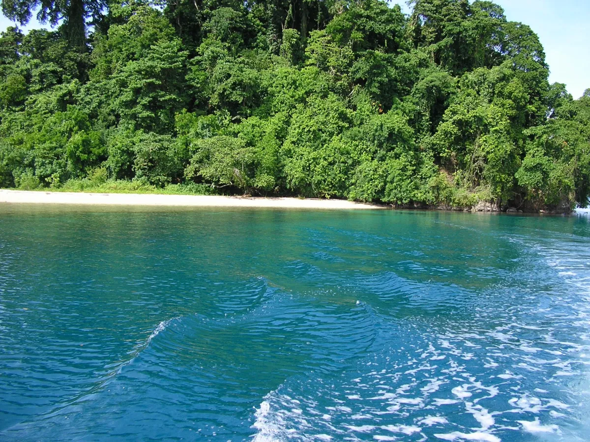 Kimbe Bay reefs and forest off New Britain.